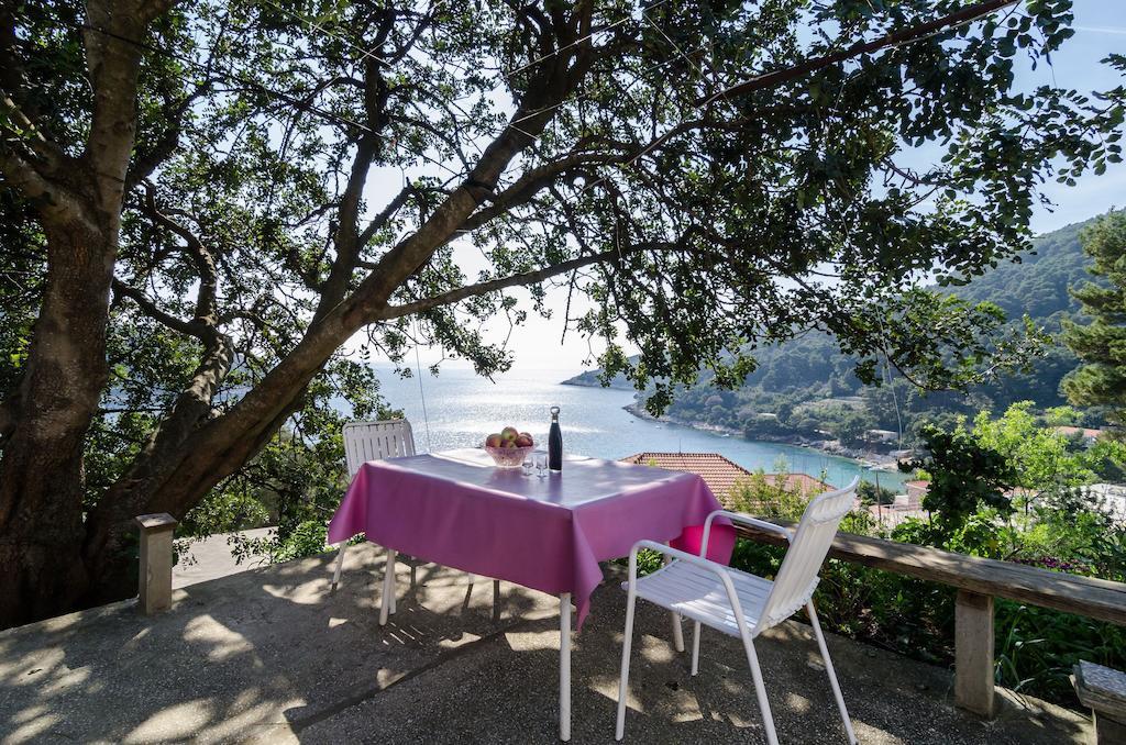 Guest House Kralj Saplunara Ngoại thất bức ảnh