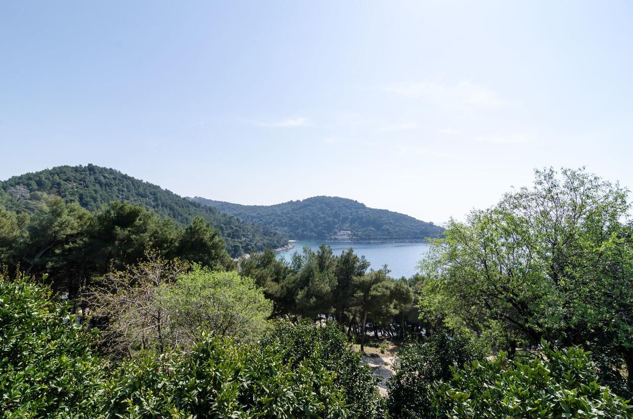 Guest House Kralj Saplunara Ngoại thất bức ảnh
