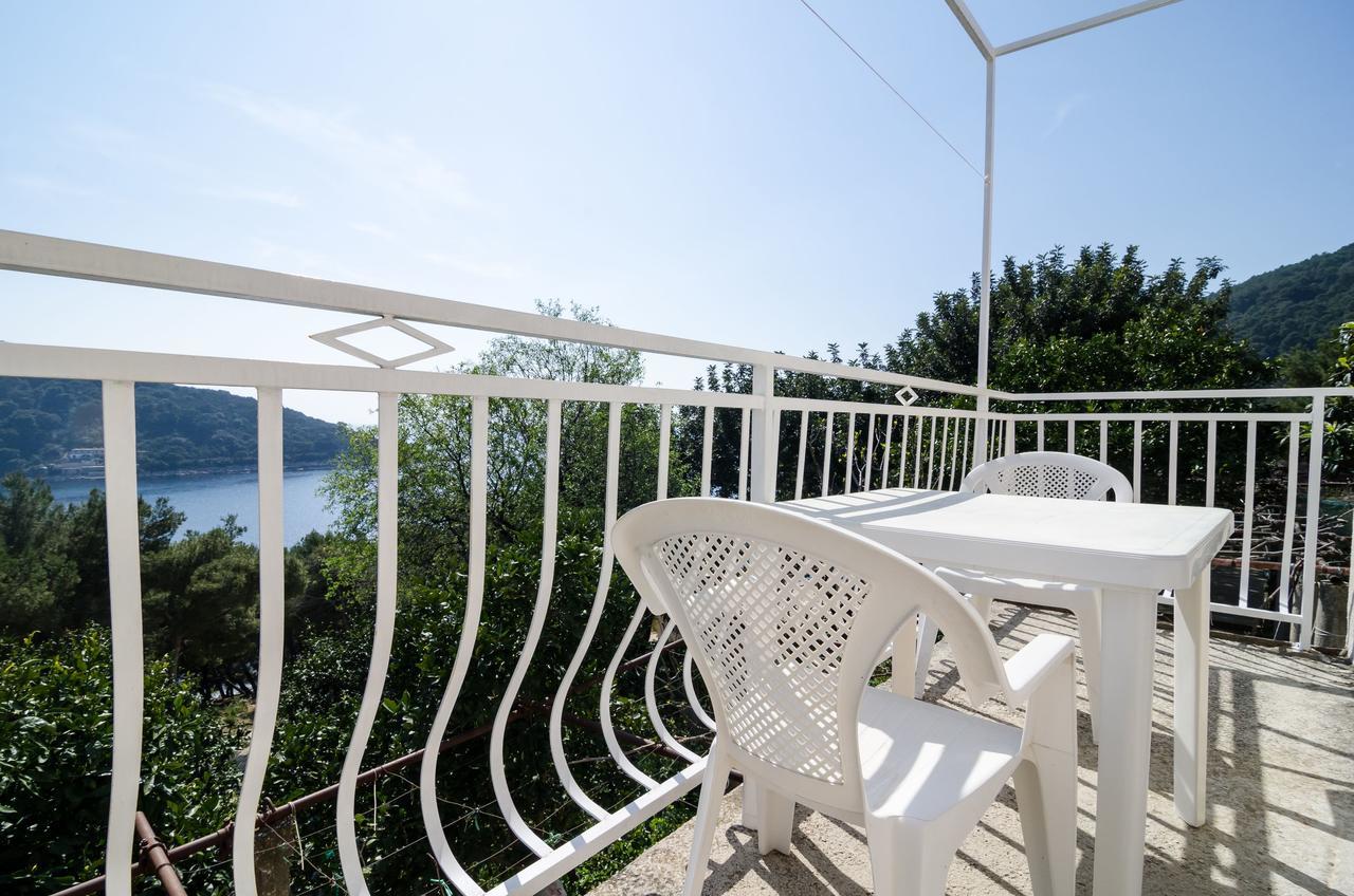 Guest House Kralj Saplunara Ngoại thất bức ảnh